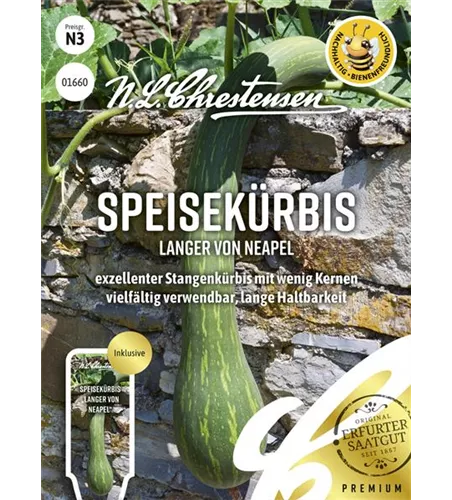Kürbissamen 'Langer von Neapel'
