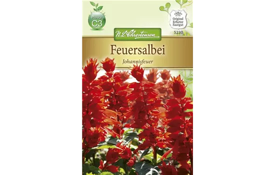 Feuersalbeisamen 'Johannisfeuer'