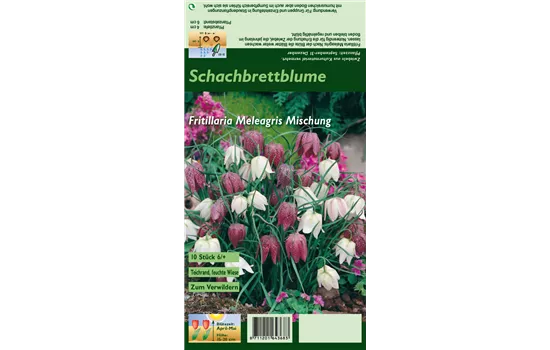 Gewöhnliche Schachblume