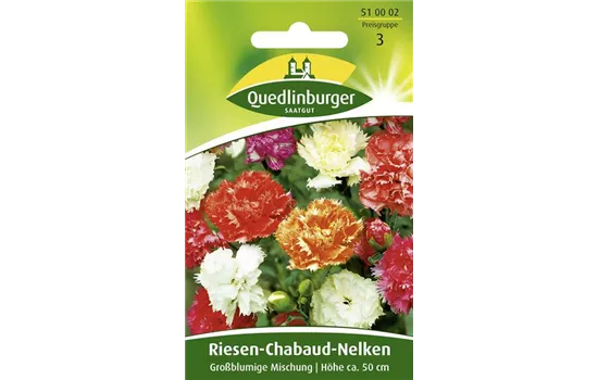 Gartennelkensamen 'Chabaud'