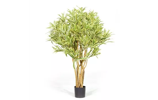 fleur ami DRACAENA REFLEXA Kunstpflanze