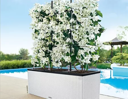 LECHUZA TRIO Cottage 40 