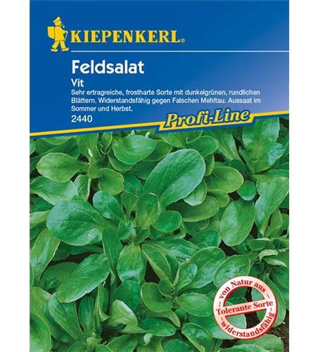 Feldsalat 'Vit'