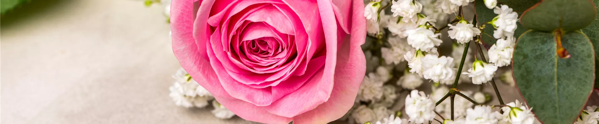 Rosen mit Schleierkraut