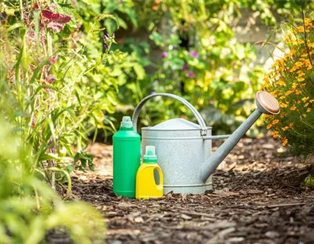 Pflanzen düngen für reiche Ernte und Blütenpracht