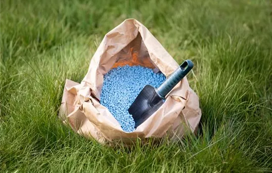 Richtig düngen für Pflanzen in Haus und Garten Richtig düngen für Pflanzen in Haus und Garten