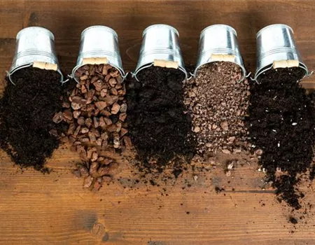 Die passende Erde für die Lieblingspflanzen in Haus und Garten