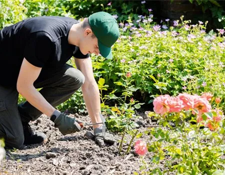 Die Grundausstattung fürs Gärtnern für Garten-Neulinge