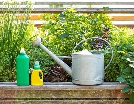 Wann ist die richtige Zeit für Dünger für Gartenpflanzen?