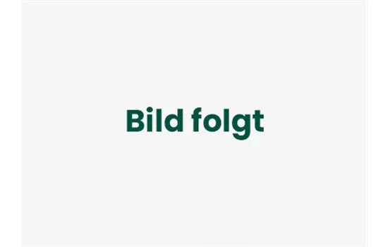 Sternmoos 'Irish Moss'