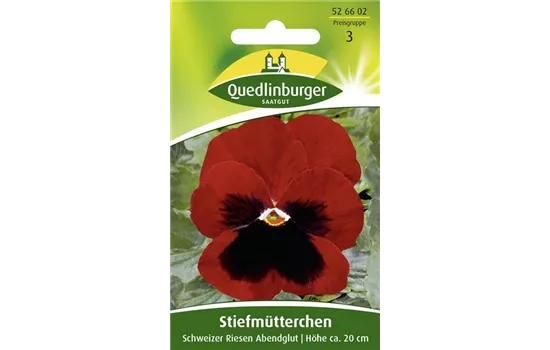 Stiefmütterchensamen 'Schweizer Riesen Abendglut'